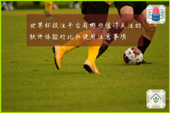 世界杯投注平台有哪些值得关注的软件体验对比和使用注意事项