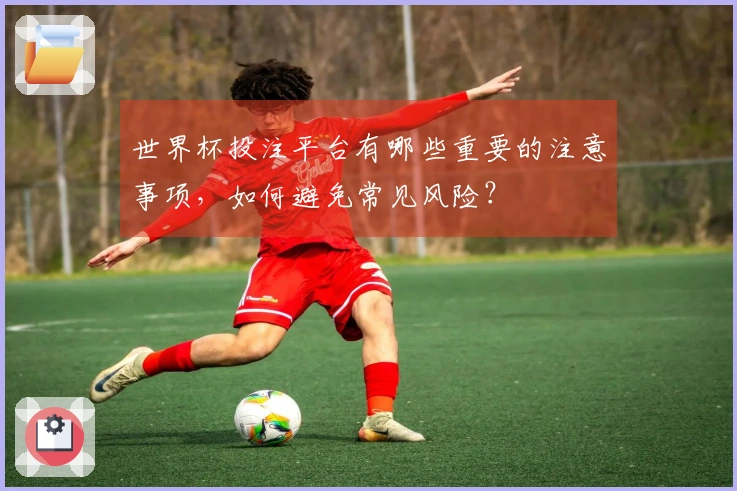 世界杯投注平台有哪些重要的注意事项，如何避免常见风险？
