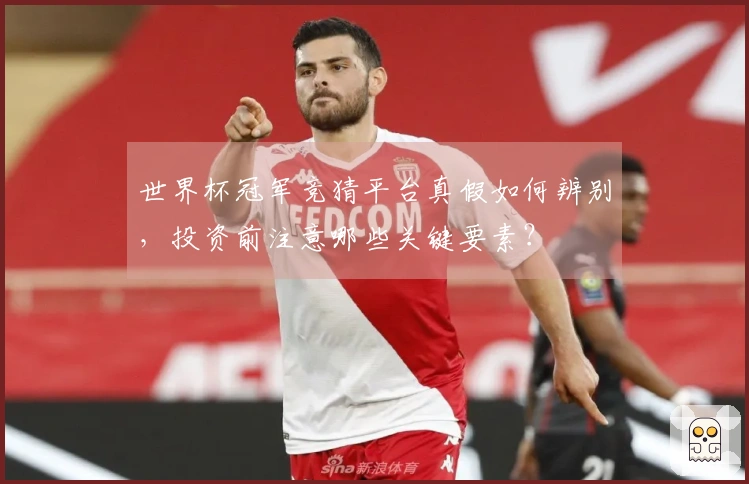 世界杯冠军竞猜平台真假如何辨别，投资前注意哪些关键要素？