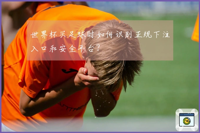 世界杯买足球时如何识别正规下注入口和安全平台？