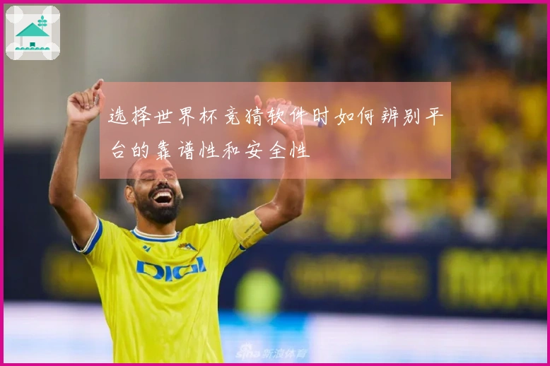 选择世界杯竞猜软件时如何辨别平台的靠谱性和安全性