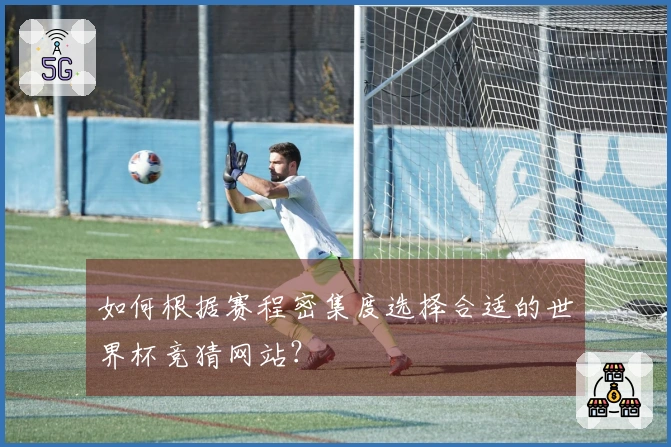 如何根据赛程密集度选择合适的世界杯竞猜网站？