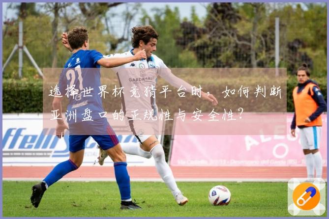 选择世界杯竞猜平台时，如何判断亚洲盘口的正规性与安全性？