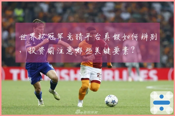 世界杯冠军竞猜平台真假如何辨别，投资前注意哪些关键要素？